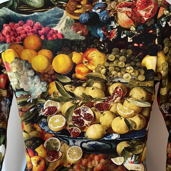 Samantha Pleet Harvest Fruit Print Mock Neck Bodysuit - Picture 9 of 14